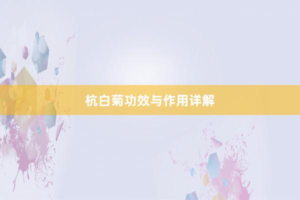 杭白菊功效与作用详解