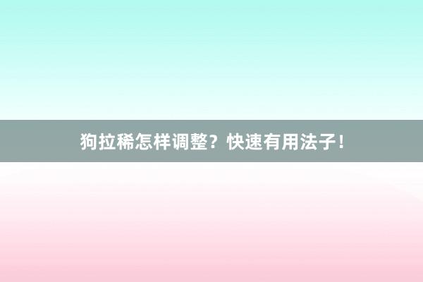 狗拉稀怎样调整?快速有用法子!