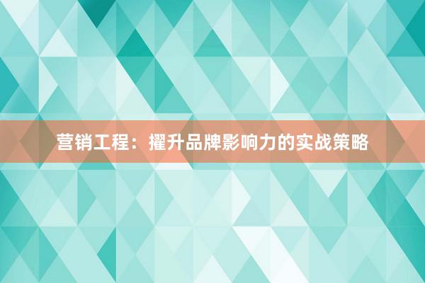 营销工程：擢升品牌影响力的实战策略
