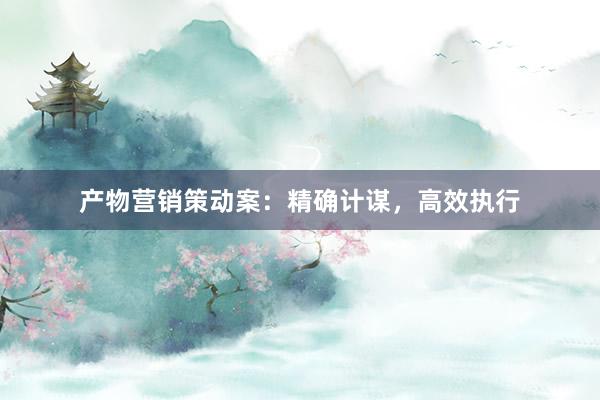 产物营销策动案：精确计谋，高效执行